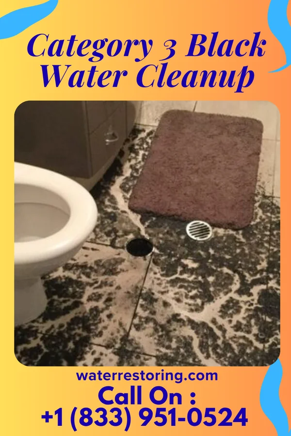 Category 3 Black Water Cleanup in Allentown, GA